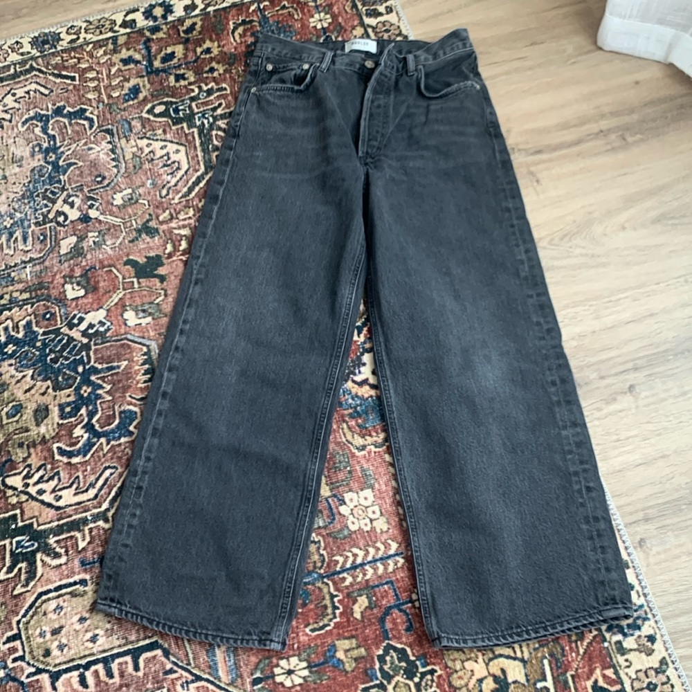 Agolde Ren Wide Leg Jean